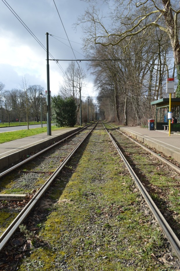 Tram tracks, heading back to Brussels