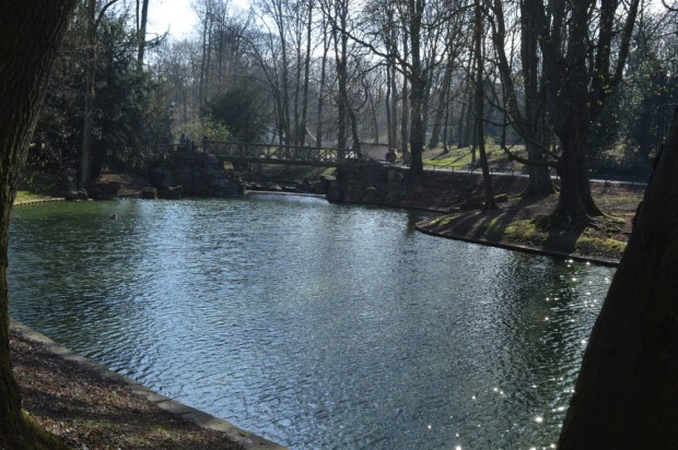Pond in the park 1