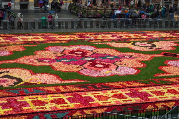 carpet of flowers from above - cenerpeice